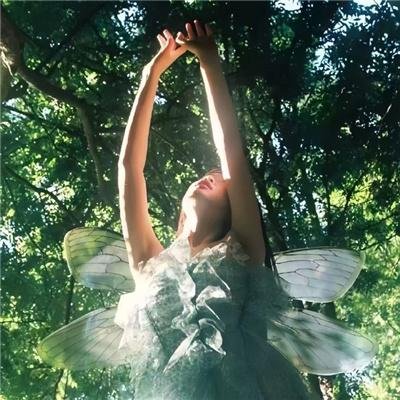 乘龙怪婿第三季